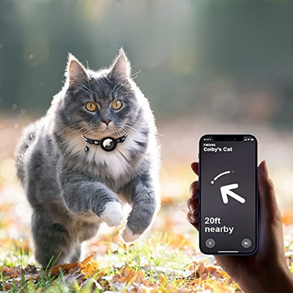 Reflexhalsband För Katt Med Spårningshållare Och Säkerhetsspänne