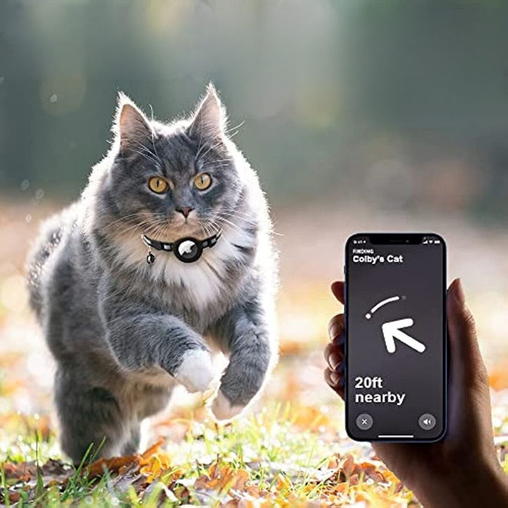 Reflexhalsband För Katt Med Spårningshållare Och Säkerhetsspänne