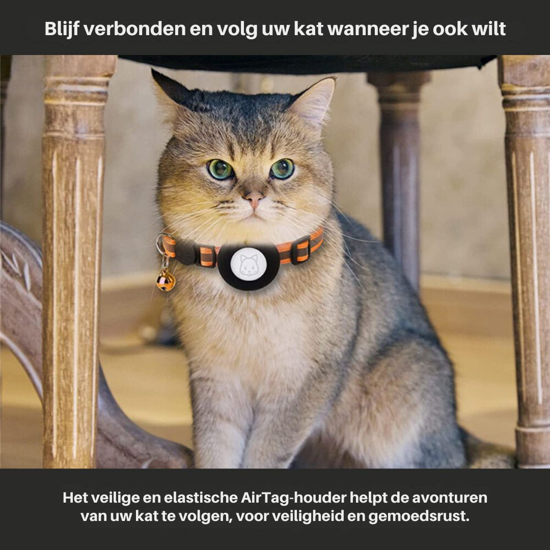 Reflexhalsband För Katt Med Spårningshållare Och Säkerhetsspänne