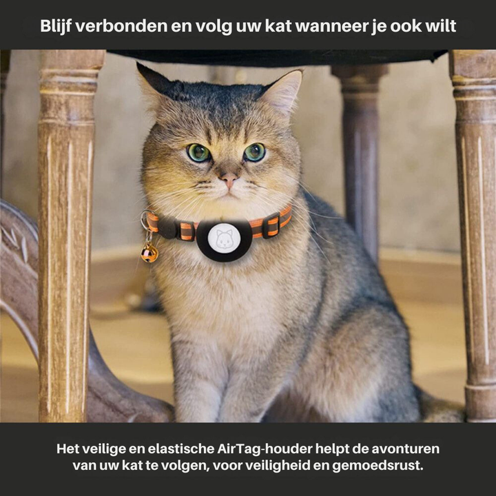 Reflexhalsband För Katt Med Spårningshållare Och Säkerhetsspänne