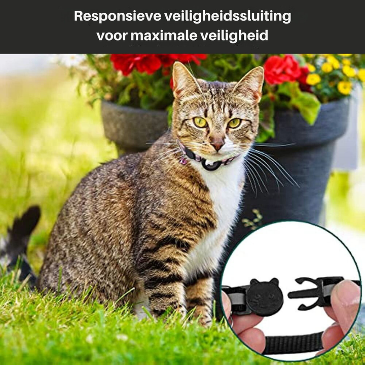 Reflexhalsband För Katt Med Spårningshållare Och Säkerhetsspänne